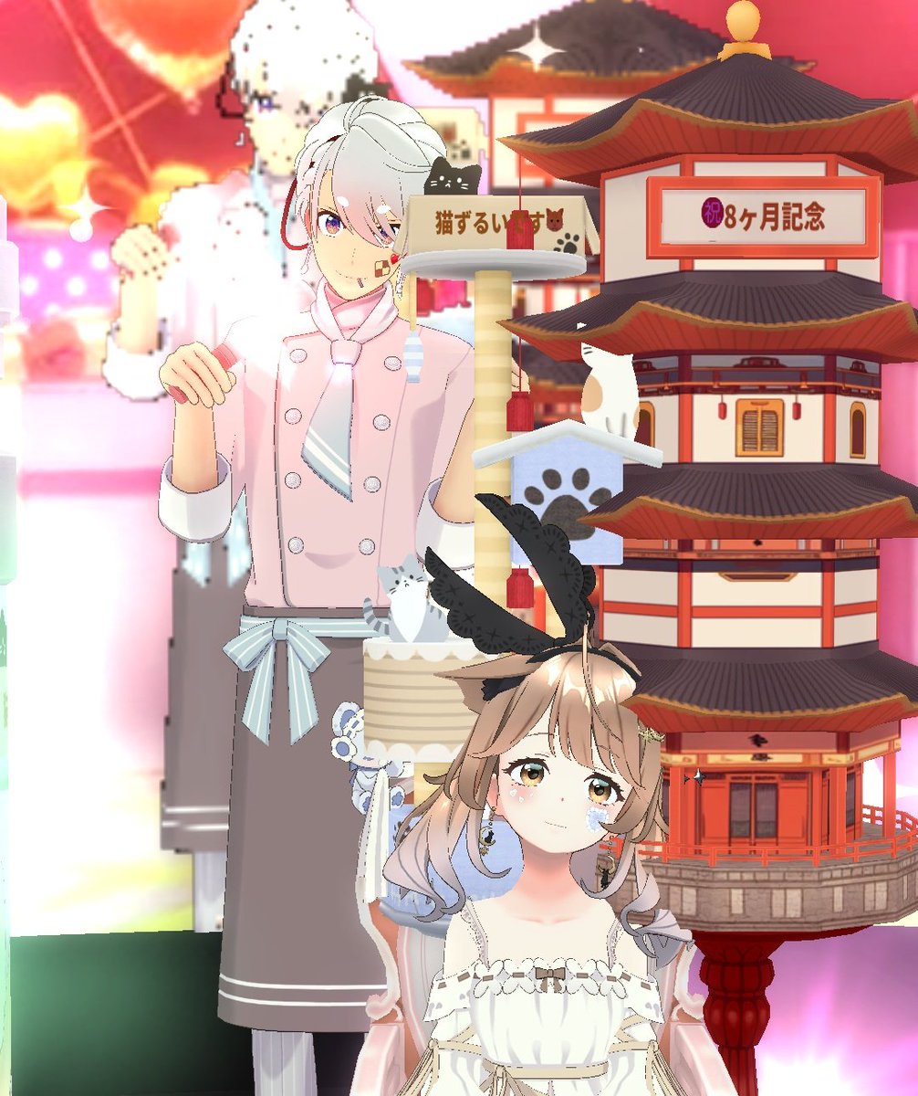 カサちゃ8ヶ月のお祝いもありがとう✨ チルちゃんはニャンコタワー