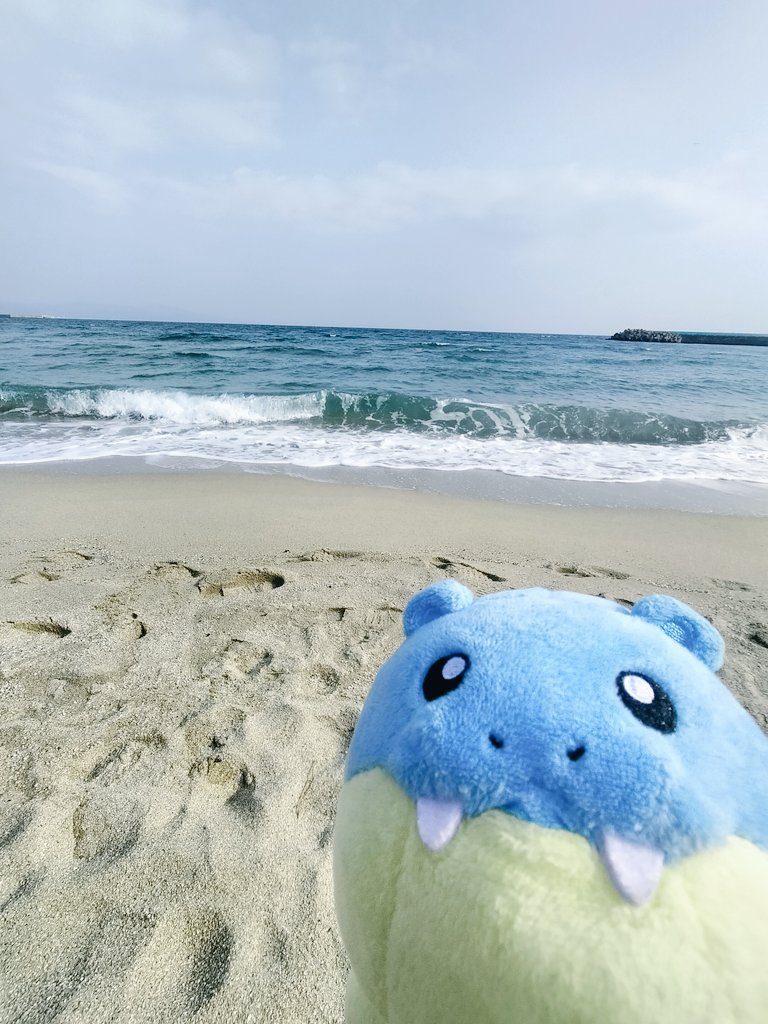 タマちゃん、海だよ 海、タマちゃんだよ