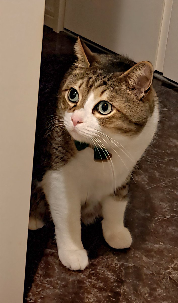 kazu✨ (@kazu0729f) / Posts / X