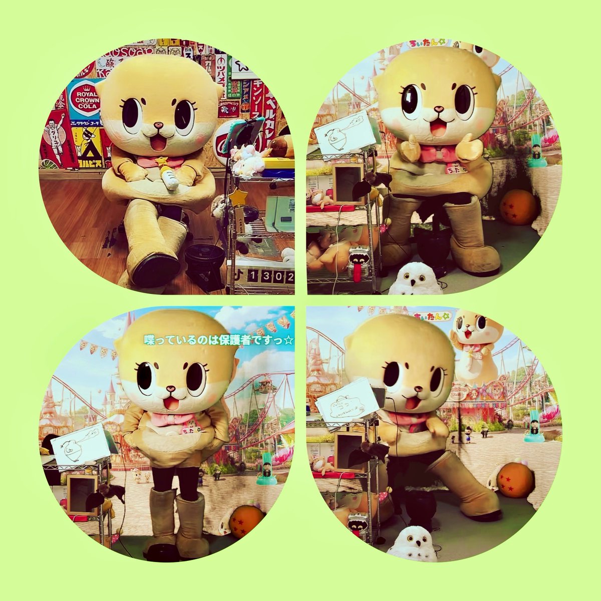 ちぃたん☆、 可愛かった瞬間💚 2026/02/16 #TikTokLIVE #Chiitan☆