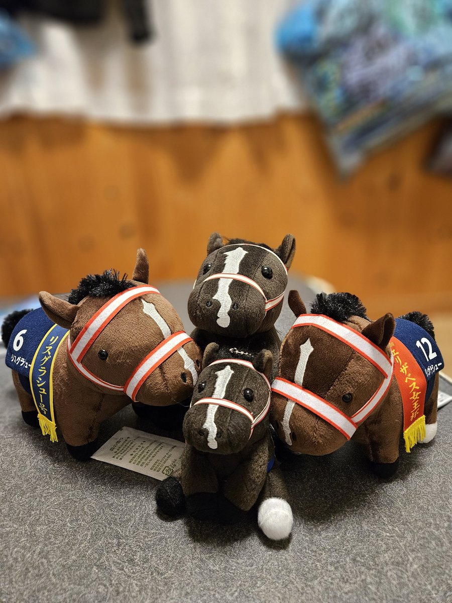 リスグラシュー、アイドルホースもサラブレッドコレクションもお迎え