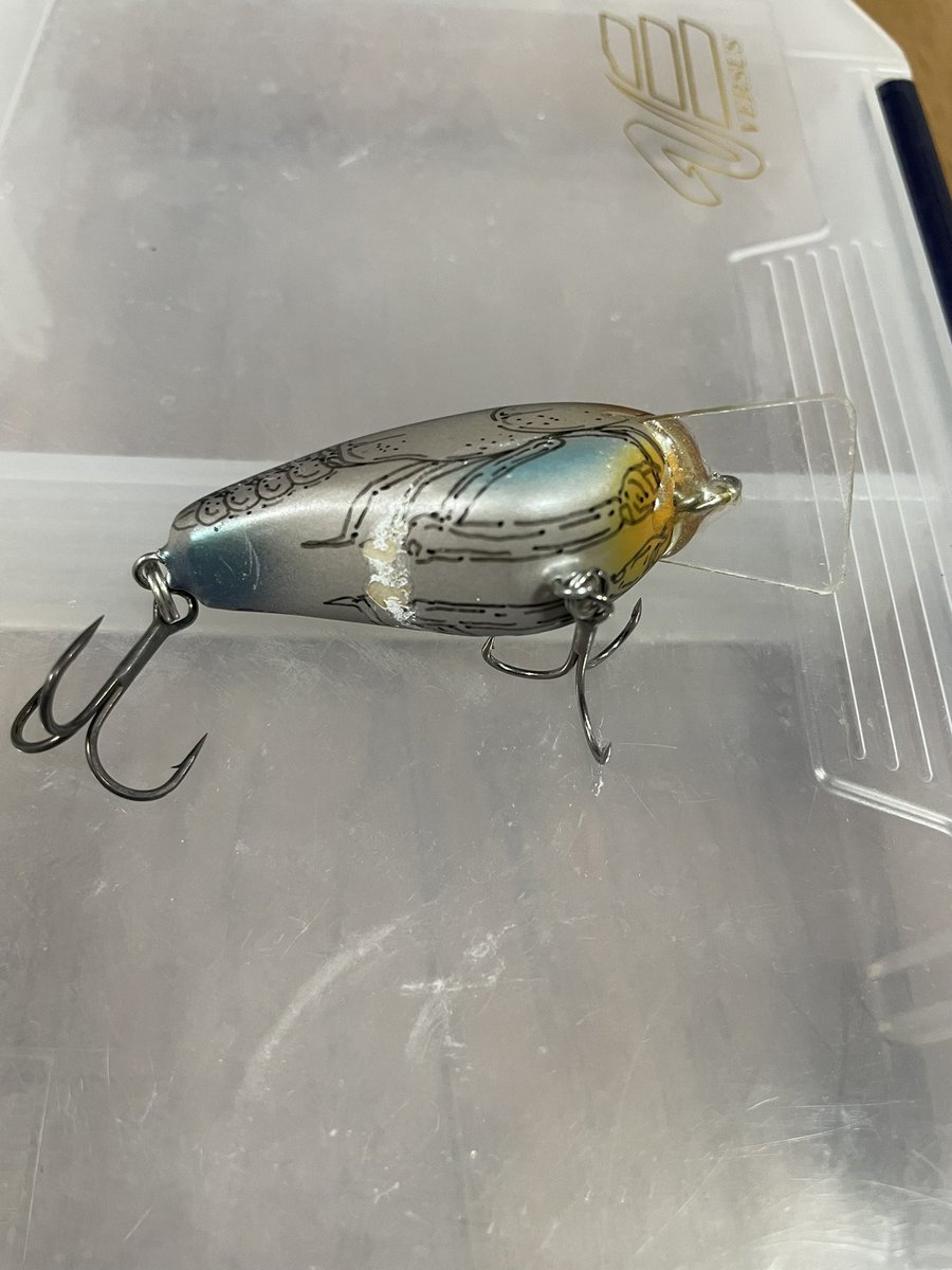 今日は野池巡りでノーフィッシュ😇 気温が上がって来たのでイージー