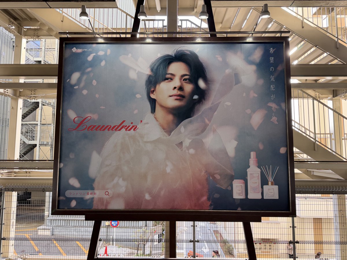 ねぇ！ ランドリン新しい紫耀くんのリーフレット入り出てるじゃん