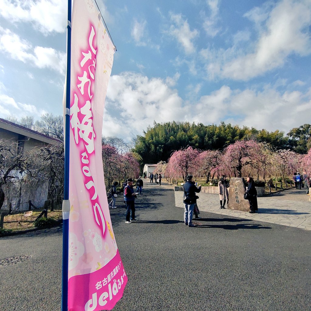 suzu (@cdM9uo04tka3tBJ) / Posts / X