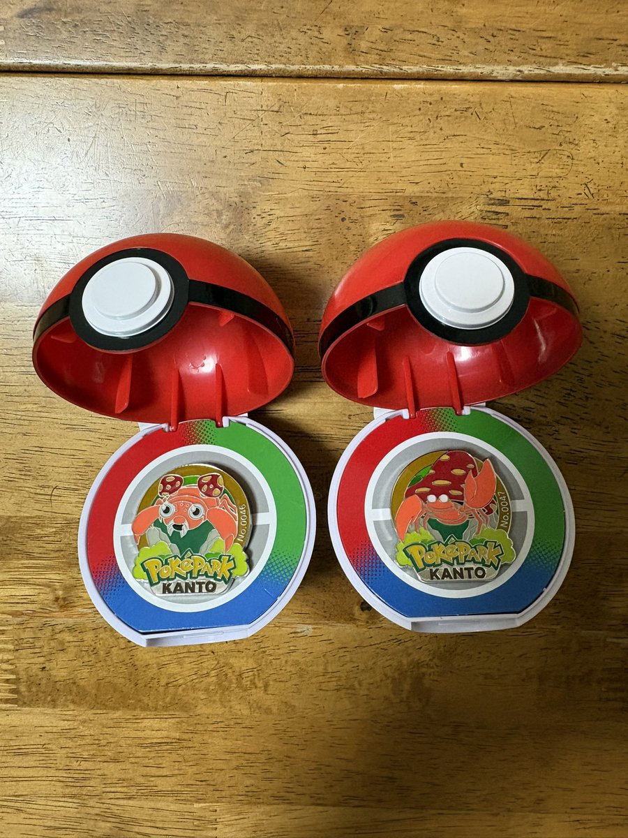 ポケパークのピンバッジ10個買ってた！ 金曜の11:55頃から並んで会計