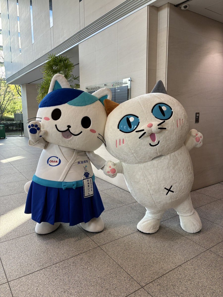 ニャン太 太田胃にゃん | 太田胃散公式PR大使 (@ohtainyan) • Instagram photos