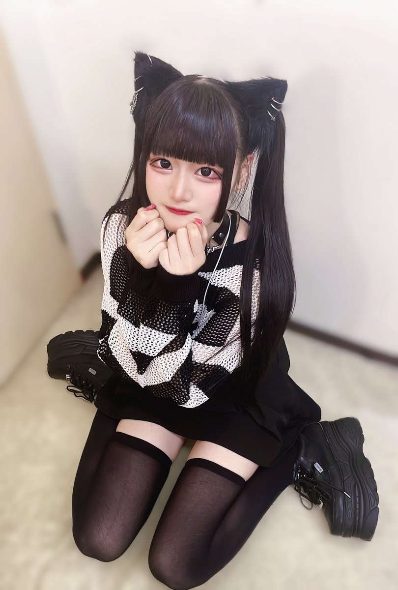 にゃんにゃん #猫の日