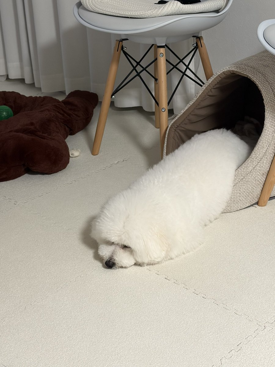 39造 (@mosa_suma_39zo) / Posts / X