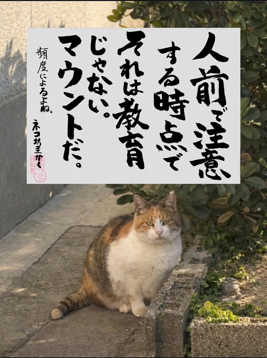 tigers_umeno2) / Posts / X