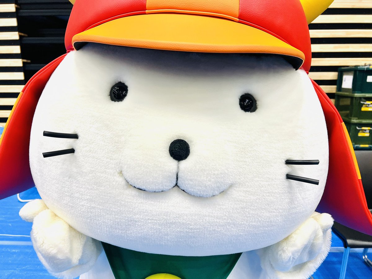 いいのすけ【公式】 (@iinosuke_hikone) / Posts / X