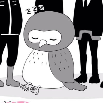 フクロウ (@296fukurou) / Posts / X