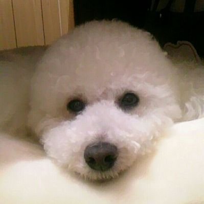 もっさん (@zari0519) / Posts / X