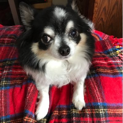 ささちゃんハイ (@ssasaki07082) / Posts / X