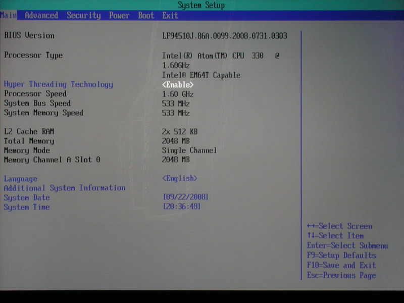 多和田新也のニューアイテム診断室