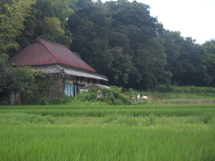 ☆引き伸ばしレンズ遊び 『FUJINAR-E 5cm f4.5』 : 一写入魂