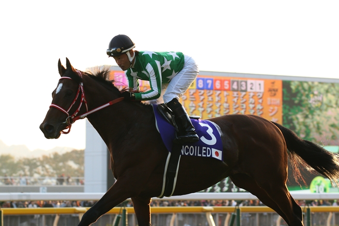 牝馬ジェンティルドンナ ジャパンカップ連覇（1） 返し馬 : Turfに魅せ