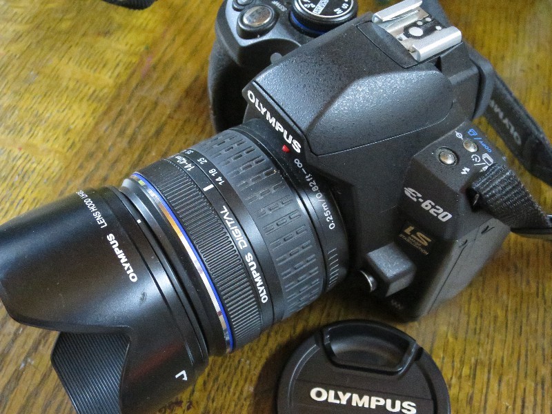 オリンパスE-620を久しぶりに使ってみたら : 亜熱帯天文台ブログ