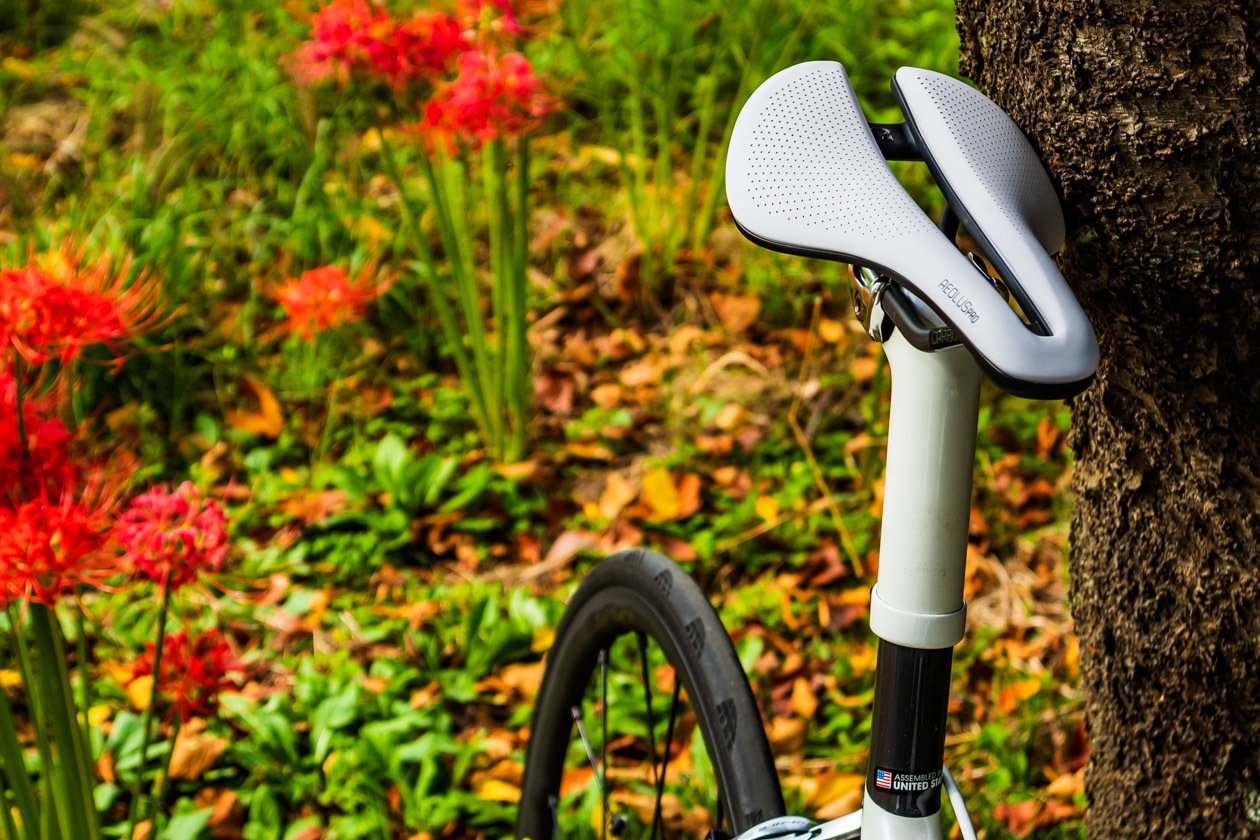 Bontrager Aeolus Pro Bike Saddle」シェイクダウンで、初「まるしょう