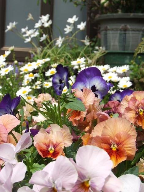 青い花瓶のパンジー～水彩画～ : 油絵画家、永月水人のArt Life