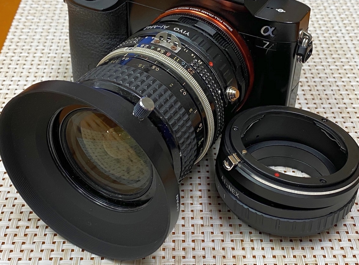 AI Nikkor 24mm F2S 超広角なのにとろけるボケでぶらり : 写真機持って