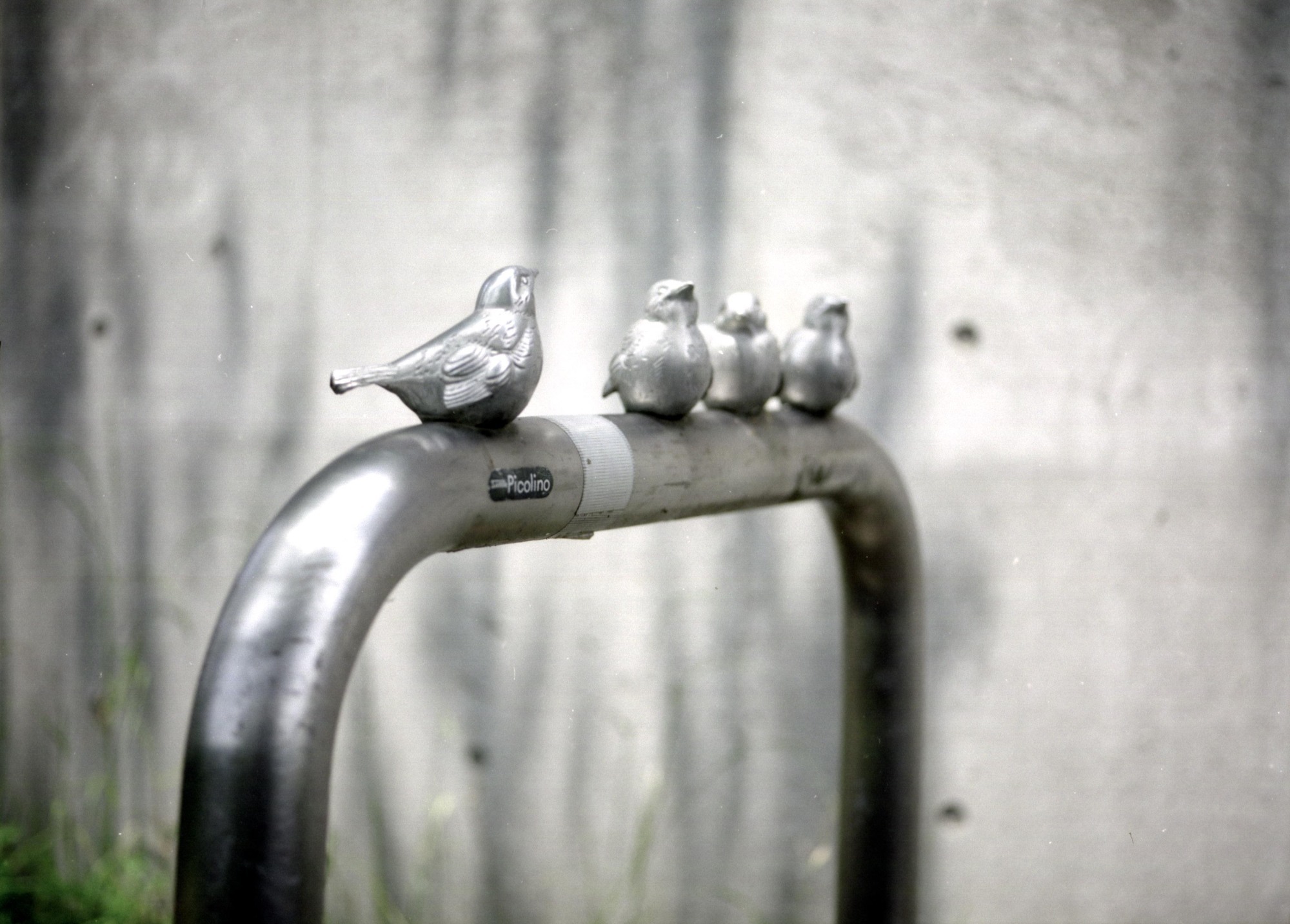 MAMIYA 645 Super ネガ撮りで MAMIYA-SEKOR MACRO C 80㎜ f:4.0N