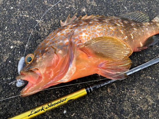 ラークシューター LSGC-710MH+ : メカニコの釣り雑記帳