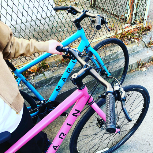 2021 MARIN 「FAIRFAX DISC SE」マリン フェアファックス おしゃれ