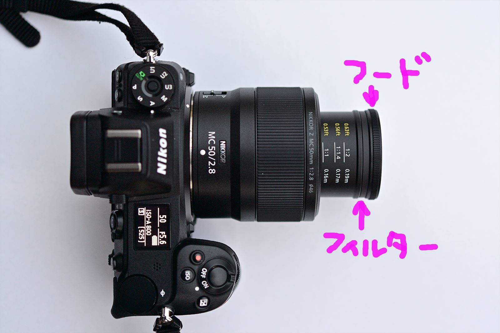 Zのマクロがやってきた！ NIKKOR Z MC 50mm f/2.8 : やぁやぁ。