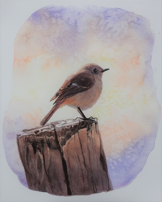 鳥の作品と12月の課題メジロを描くです。 : 小林啓子水彩画の部屋