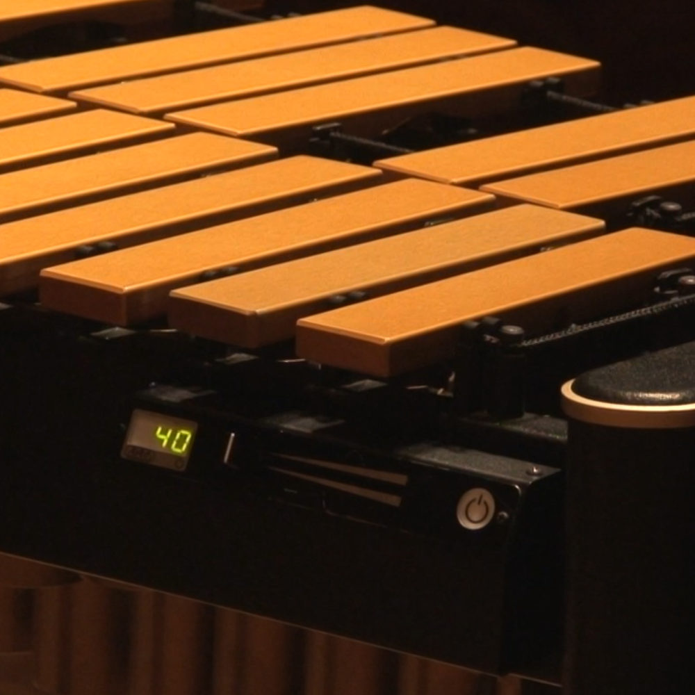 AD-VCWV300G_Vibraphones-