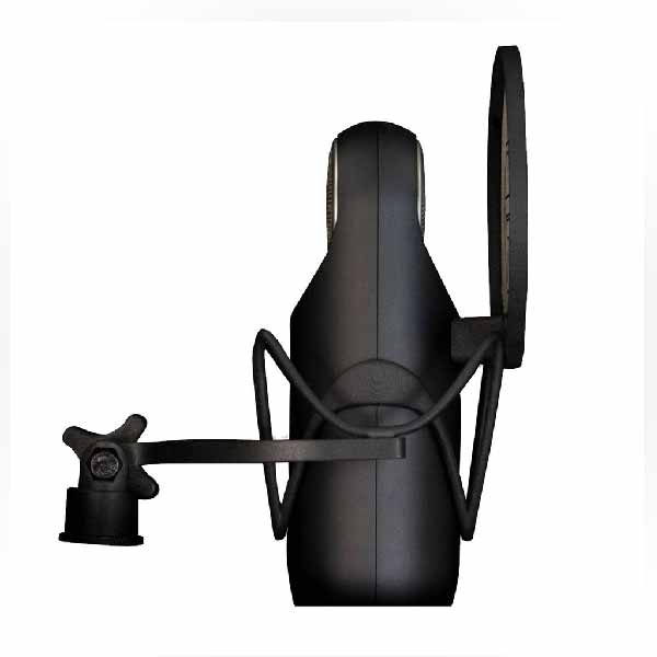 Aston Element Bundle | Lebanon | Per-vurt