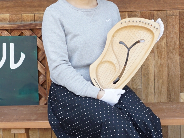 受注発注【182】アウリスライアー/ダイアトニック/12弦/LDD ペロル