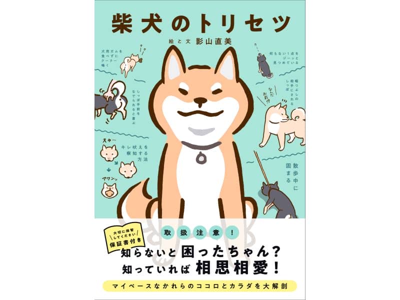 史上初の柴犬の取扱説明書が誕生！人気イラストレーターが描く『柴犬の