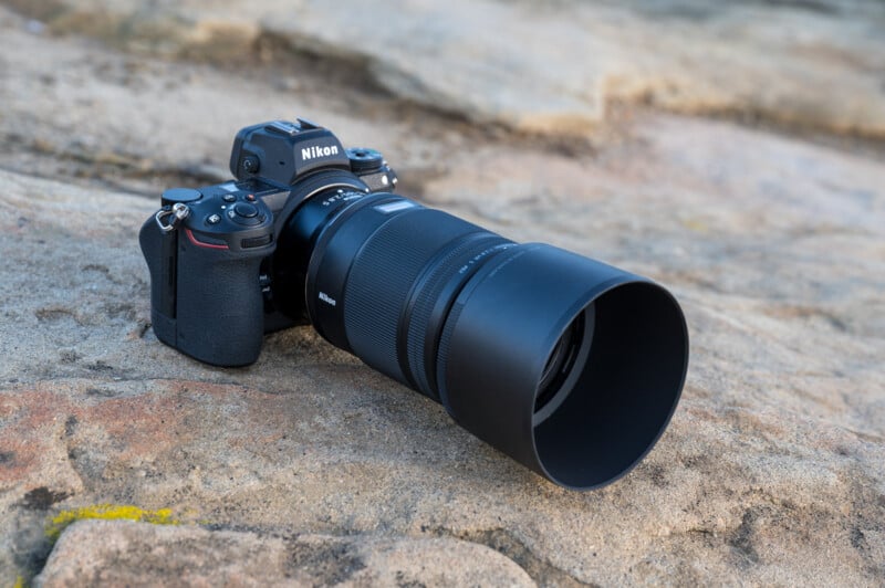 Nikon Z 105mm f/2.8 Macro Lens Review: A Stunning Tele Macro Combo