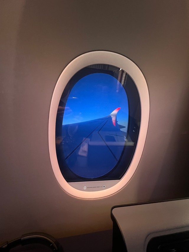 もう上げ下げ不要…指先ワンタッチで窓ガラスが暗くなる！ 飛行機で導入