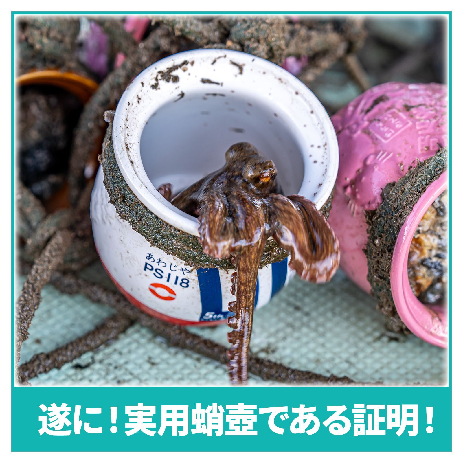 0e38d8496e9630f45652e3b7fbac08