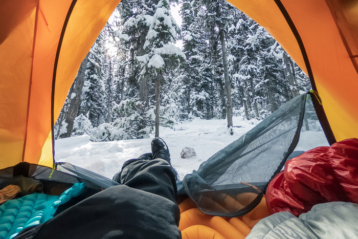 LOGOS プレミアム イージーアッセムコットの商品紹介 | hinata〜もっと