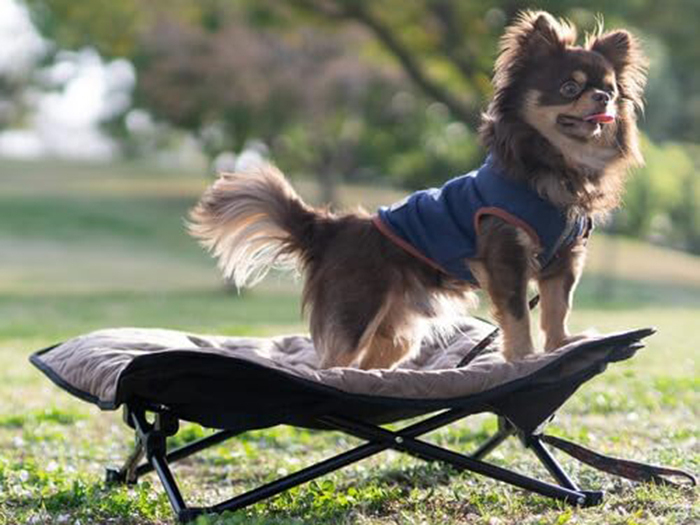 DOD ソトネノサソイMの商品紹介 | hinata〜もっとそとが好きになる