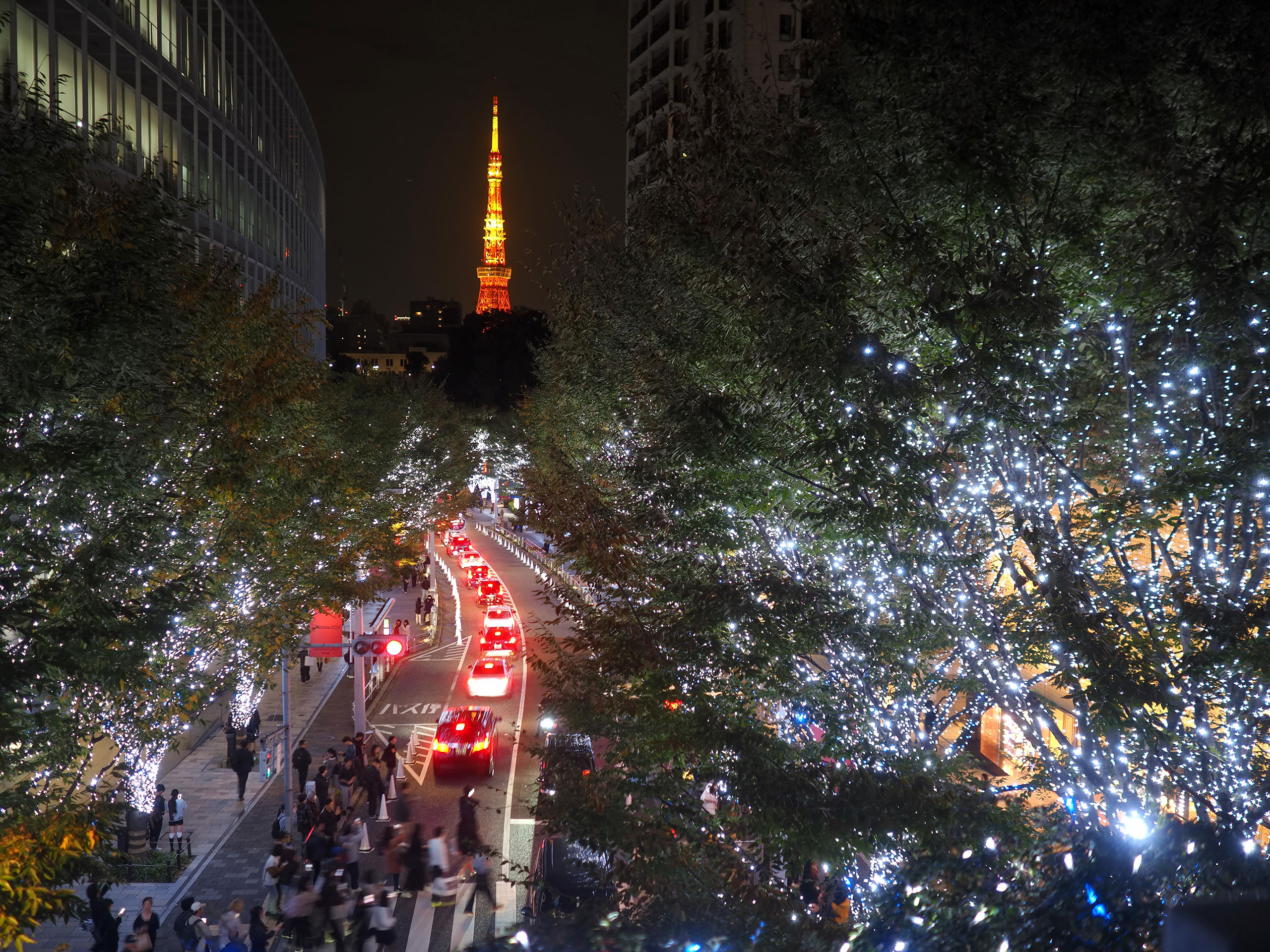 美しいイルミネーション撮影に挑戦しよう！-斎藤巧一郎-｜フォトレシピ