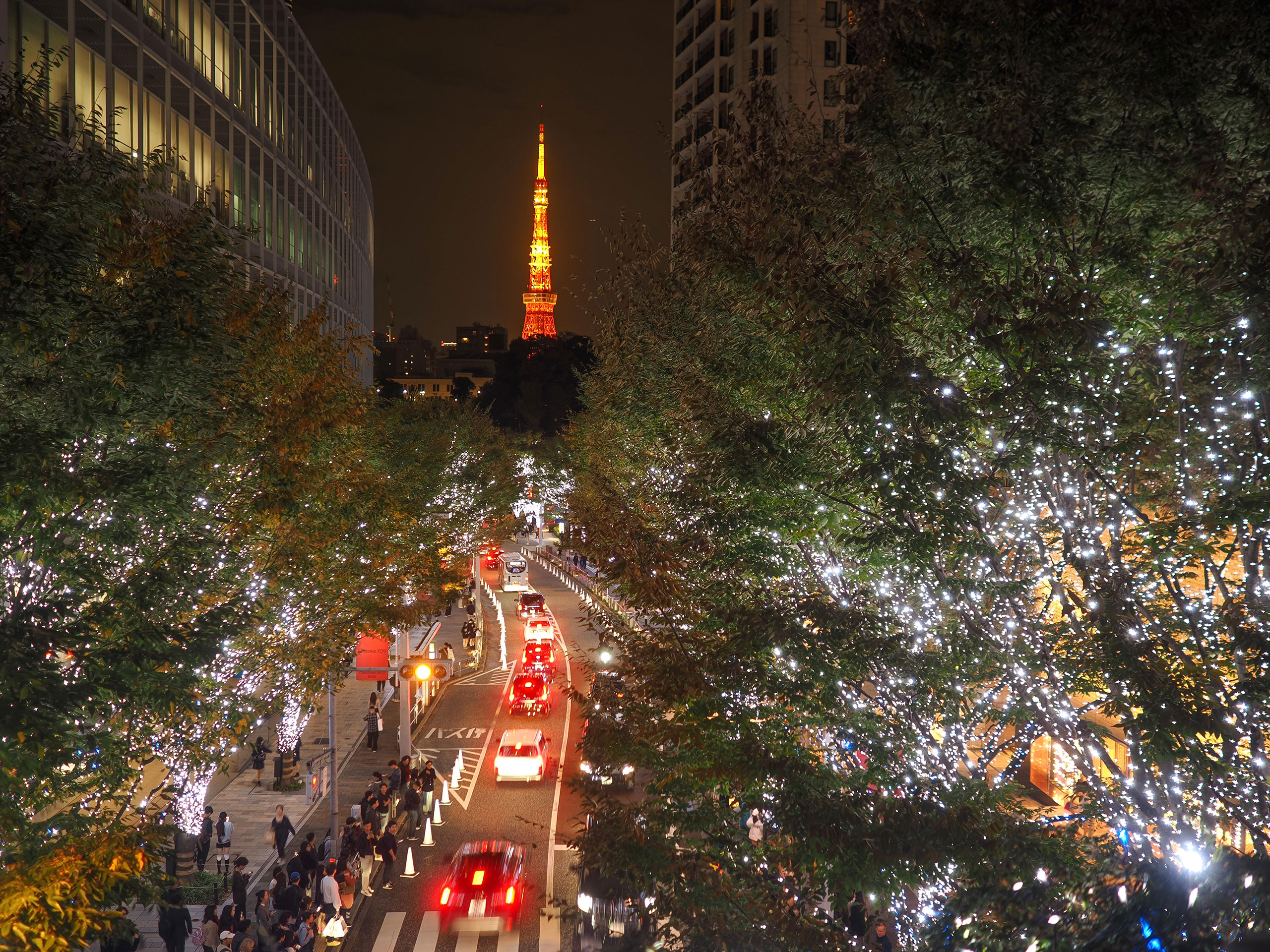 美しいイルミネーション撮影に挑戦しよう！-斎藤巧一郎-｜フォトレシピ