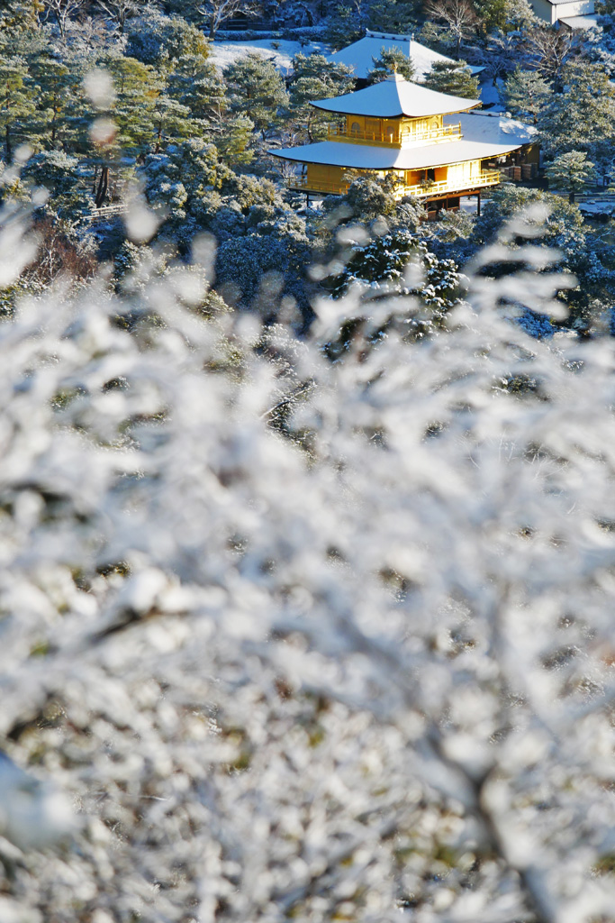 金閣寺の雪景色 - 京都フリー写真素材集：京都の神社・寺院・観光地