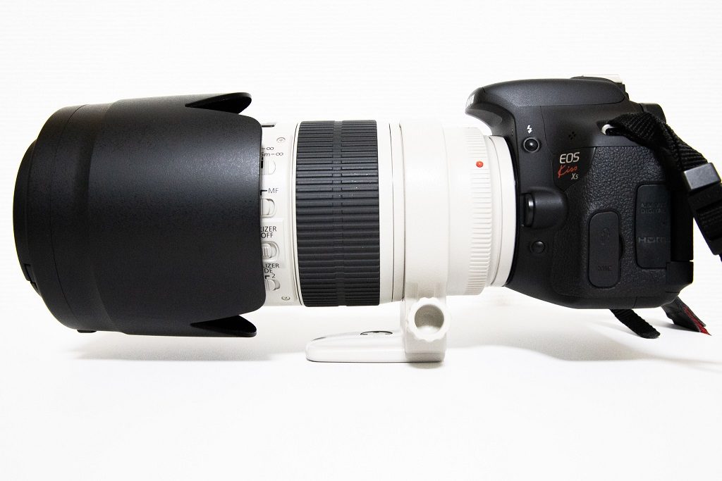 作例】初心者向けカメラボディとプロ向けレンズの組み合わせで撮影して