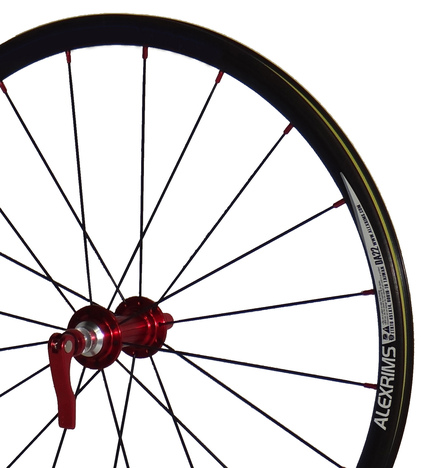 20”（451）完組ホイール ALEXRIMS＆NOVATEC リア ＜ サイクルハート