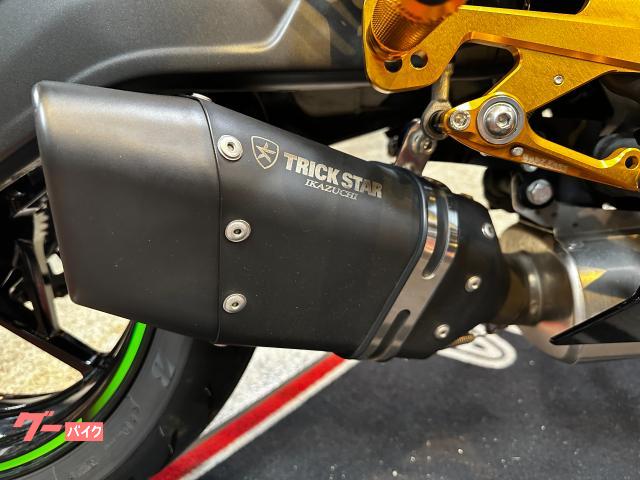 カワサキ Ninja ZX－25R SE 蜂の巣カラー トリックスター