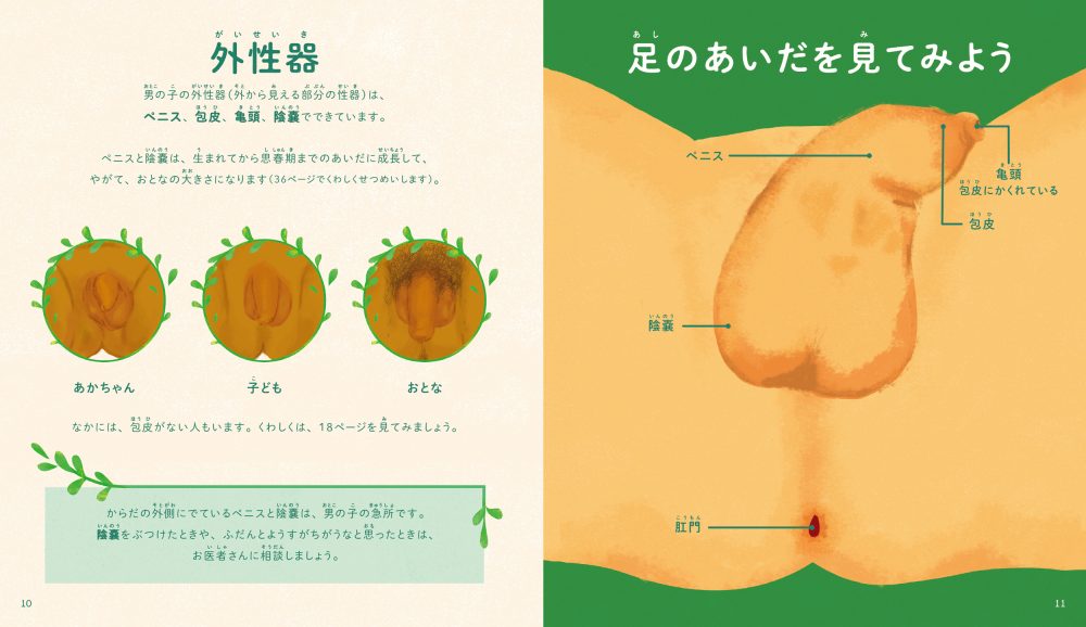 男の子のからだえほん』電子書籍 | PIE International