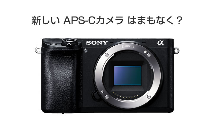 デジタル一眼カメラ情報│電脳工房pipo!中電気店