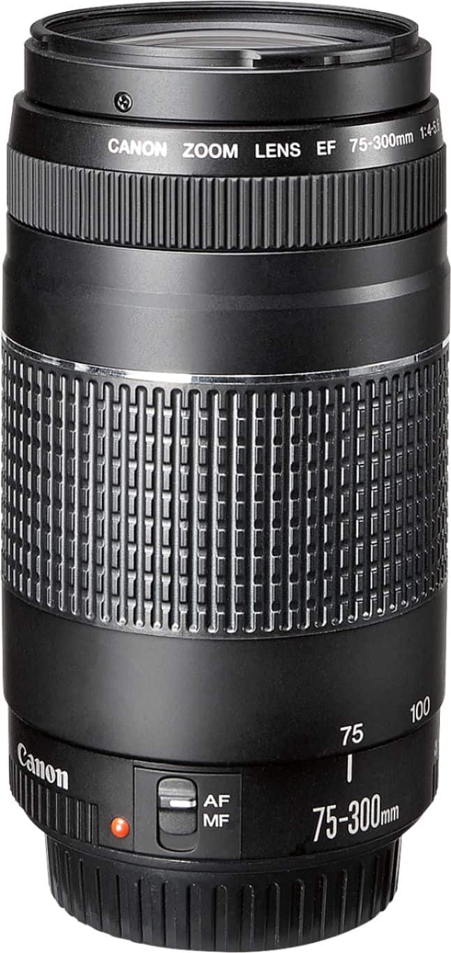 Canon EF75 300mm F4 5.6 III Telephoto Zoom Lens for EOS DSLR