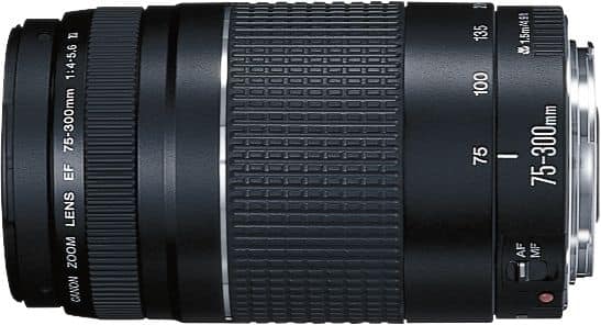 Canon EF75 300mm F4 5.6 III Telephoto Zoom Lens for EOS DSLR