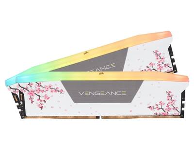 CORSAIR Vengeance RGB 32GB DDR5 6000MHz Cherry Blossom RAM White