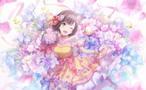 ミステリーツアーの洗礼？ – プロセカ情報局